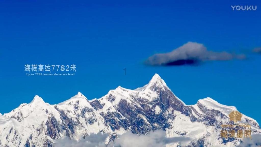 迷你汽车记忆卡