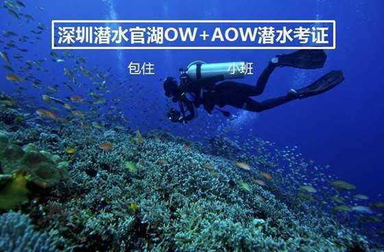 海盗的寻宝之旅