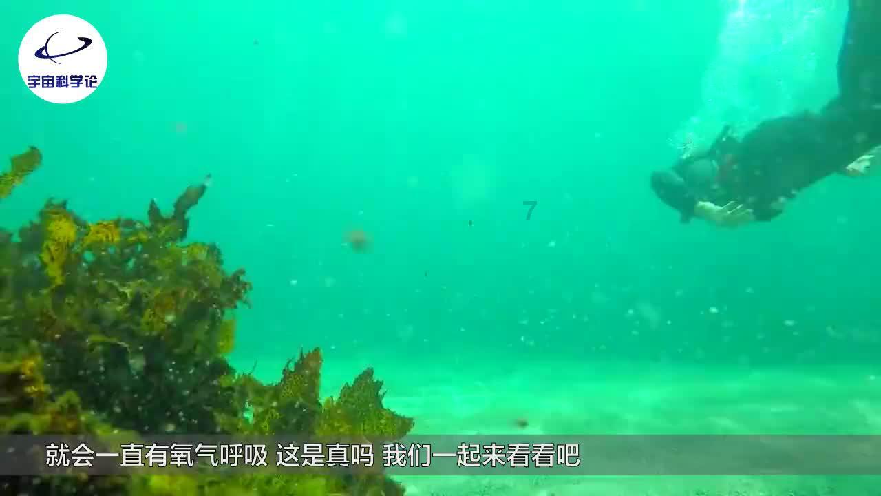 春雨直播app